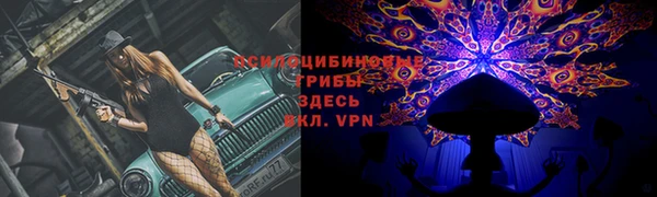 а пвп мука Богородицк