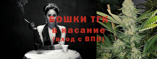 ECSTASY Богородск