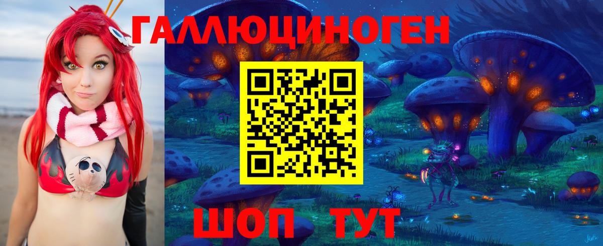 Галлюциногенные грибы Psilocybe Вятские Поляны
