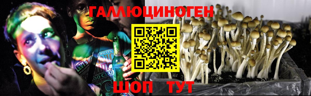 Вятские Поляны  Галлюциногенные грибы мухоморы  Вход с VPN  Псилоцибиновые грибы Cubensis 